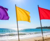 Playas de Puerto Vallarta presentan bandera amarilla, morada y roja