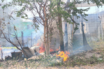 Incendio en vivienda de Joyas del Pedregal moviliza a bomberos