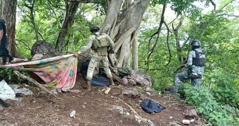 Operativos dejan tres detenidos y el aseguramiento de 33 vehículos en Nayarit