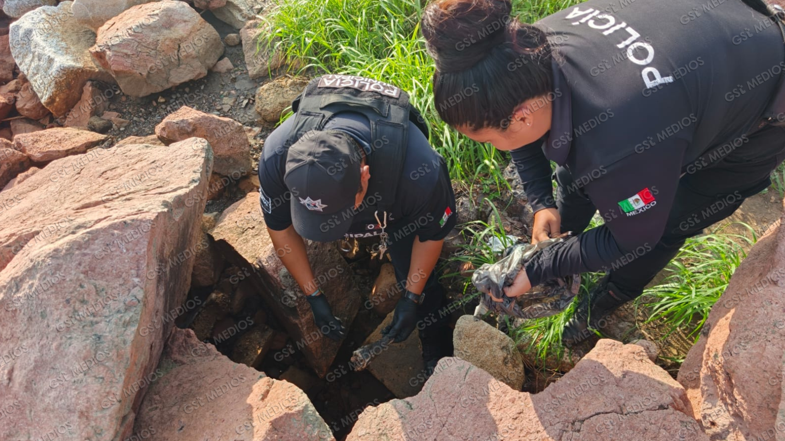 Cocodrilo muerto en playa Bocanegra eleva a 13 los ejemplares asesinados en Puerto Vallarta