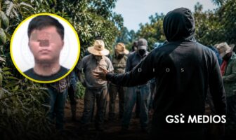 Capturan en Michoacán a “El Vikingo”, señalado por extorsionar al sector aguacatero
