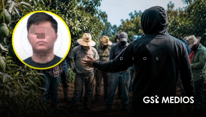 Capturan en Michoacán a “El Vikingo”, señalado por extorsionar al sector aguacatero