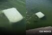 Cuatro elementos de la Marina mueren tras caer su vehículo a un río en Tamaulipas