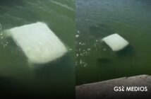 Cuatro elementos de la Marina mueren tras caer su vehículo a un río en Tamaulipas