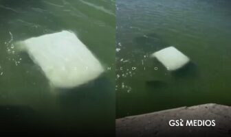 Cuatro elementos de la Marina mueren tras caer su vehículo a un río en Tamaulipas