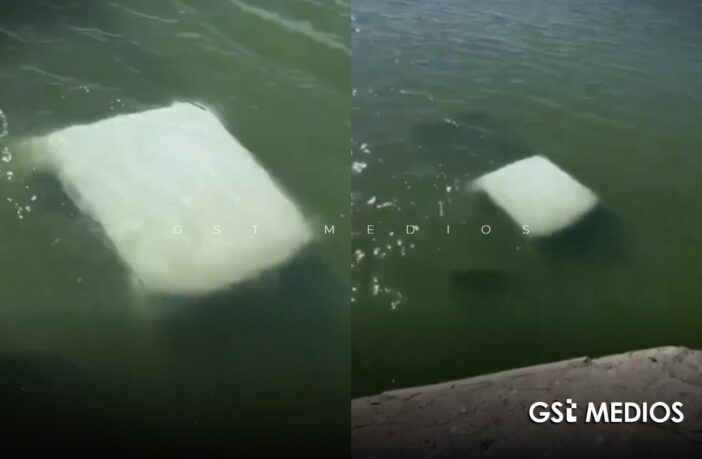 Cuatro elementos de la Marina mueren tras caer su vehículo a un río en Tamaulipas