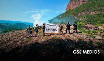 Autoridades ubican y destruyen cuatro plantíos de marihuana en La Yesca