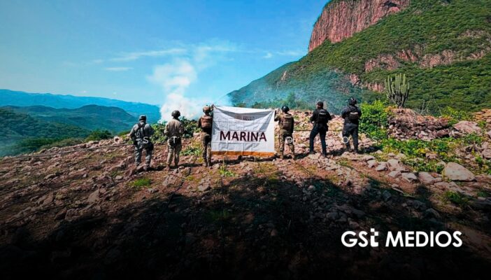 Autoridades ubican y destruyen cuatro plantíos de marihuana en La Yesca