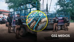 Policía Estatal asegura en Mascota seis cabezas de ganado