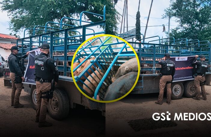 Policía Estatal asegura en Mascota seis cabezas de ganado