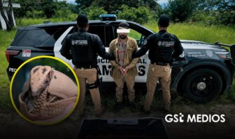 Capturan a sujeto con escopeta y armadillo muerto en Atoyac