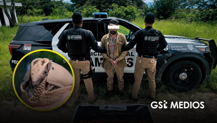Capturan a sujeto con escopeta y armadillo muerto en Atoyac