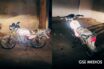 Motocicleta robada en Bahía de Banderas es recuperada en Puerto Vallarta