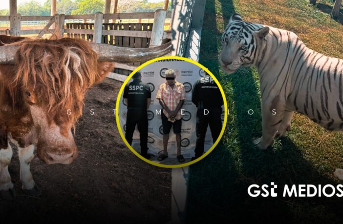 Aseguran 135 animales exóticos en rancho ligado al huachicol en Tamaulipas