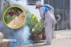 Jalisco intensifica operativo contra el dengue ante 139 casos confirmados