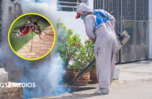 Jalisco intensifica operativo contra el dengue ante 139 casos confirmados