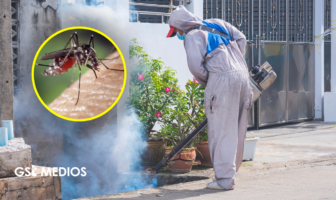 Jalisco intensifica operativo contra el dengue ante 139 casos confirmados