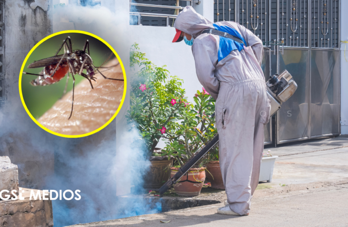 Jalisco intensifica operativo contra el dengue ante 139 casos confirmados