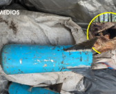Localizan campamentos clandestinos con material para bombas en la sierra de Guerrero