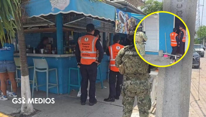 Aseguran 280 kilos de producto marino por posible procedencia ilegal en Puerto Vallarta