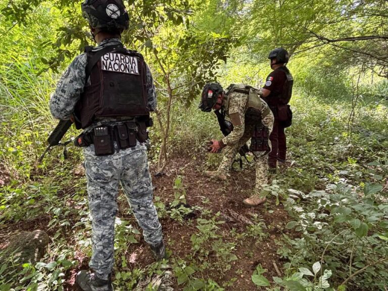 Más de 900 kilos de marihuana, armas y artefactos de riesgo asegurados en Nayarit