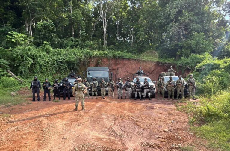Aseguran armas, vehículos y más de 137 mil plantas de marihuana durante operativos en Nayarit