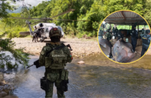 Desmantelan 3 narcolaboratorios en Guerrero y decomisan más de 7.8 toneladas de químicos
