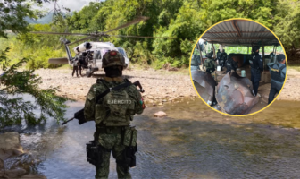 Desmantelan 3 narcolaboratorios en Guerrero y decomisan más de 7.8 toneladas de químicos