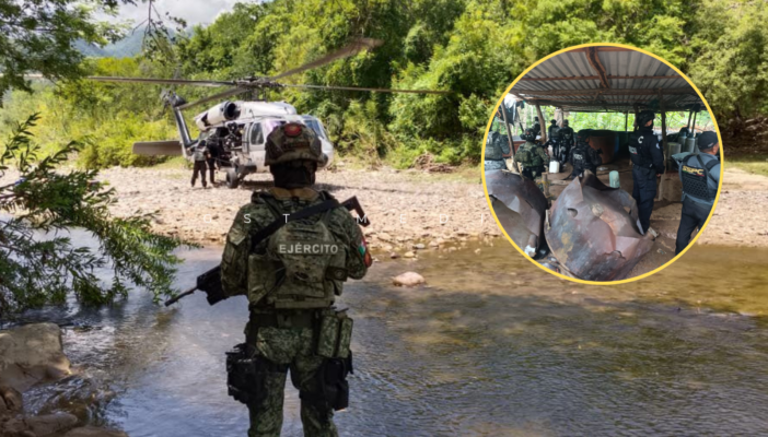 Desmantelan 3 narcolaboratorios en Guerrero y decomisan más de 7.8 toneladas de químicos
