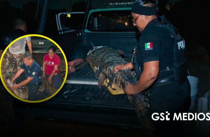 Tras operativo capturan a cocodrilo en la zona de Las Mojoneras