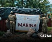 Caen dos personas, aseguran armamento y drogas durante operativos en Nayarit