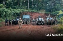 Aseguran armas, vehículos y más de 137 mil plantas de marihuana durante operativos en Nayarit