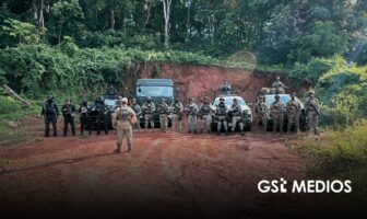 Aseguran armas, vehículos y más de 137 mil plantas de marihuana durante operativos en Nayarit
