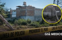 Puerto Vallarta: denuncian brutal caso de crueldad animal contra un perrito