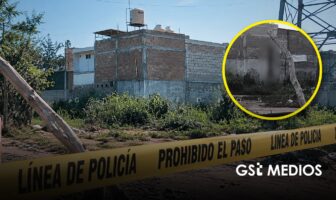 Puerto Vallarta: denuncian brutal caso de crueldad animal contra un perrito