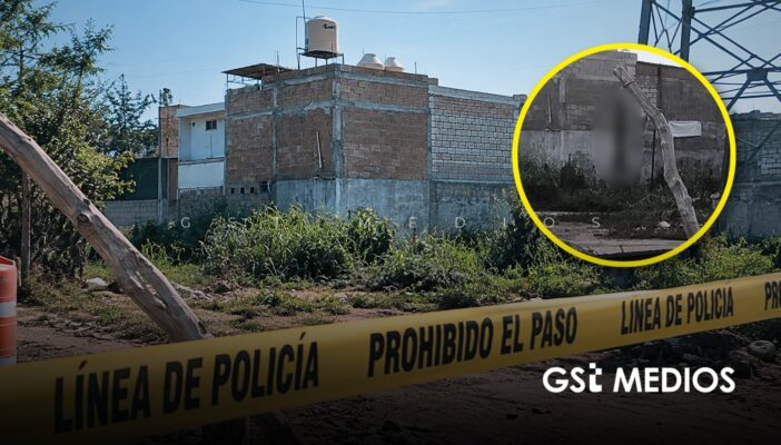 Puerto Vallarta: denuncian brutal caso de crueldad animal contra un perrito