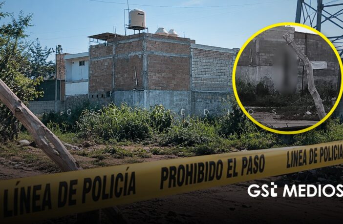 Puerto Vallarta: denuncian brutal caso de crueldad animal contra un perrito