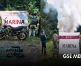 Armas aseguradas y un plantío destruido durante operativos en Nayarit