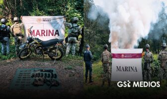 Armas aseguradas y un plantío destruido durante operativos en Nayarit