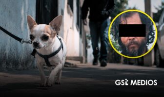 Hombre acaba con la vida de un perrito a machetazos en Ixtlahuacán de los Membrillos