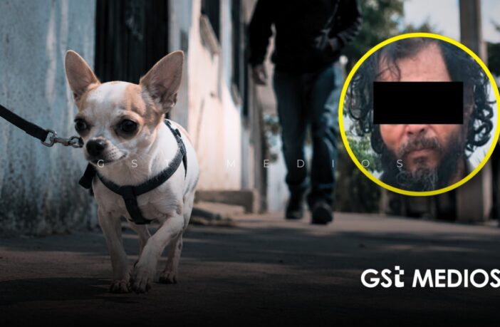 Hombre acaba con la vida de un perrito a machetazos en Ixtlahuacán de los Membrillos