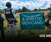Reportan aseguramientos y acciones de vigilancia en Nayarit