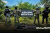 Reportan aseguramientos de armamento y acciones de seguridad en Nayarit