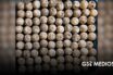 Vinculan a proceso a hombre por 89 huevos de tortuga en Bucerías