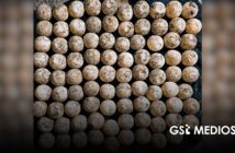 Vinculan a proceso a hombre por 89 huevos de tortuga en Bucerías