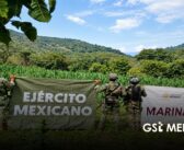 Aseguran armamento y destruyen explosivos durante operativos en Nayarit