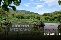 Aseguran armamento y destruyen explosivos durante operativos en Nayarit