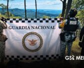 Nayarit reporta decomisos y detenciones en cuatro municipios