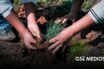 Jalisco reforestó 319 mil árboles en 2026 y sobrepasó la meta estatal