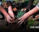 Jalisco reforestó 319 mil árboles en 2026 y sobrepasó la meta estatal